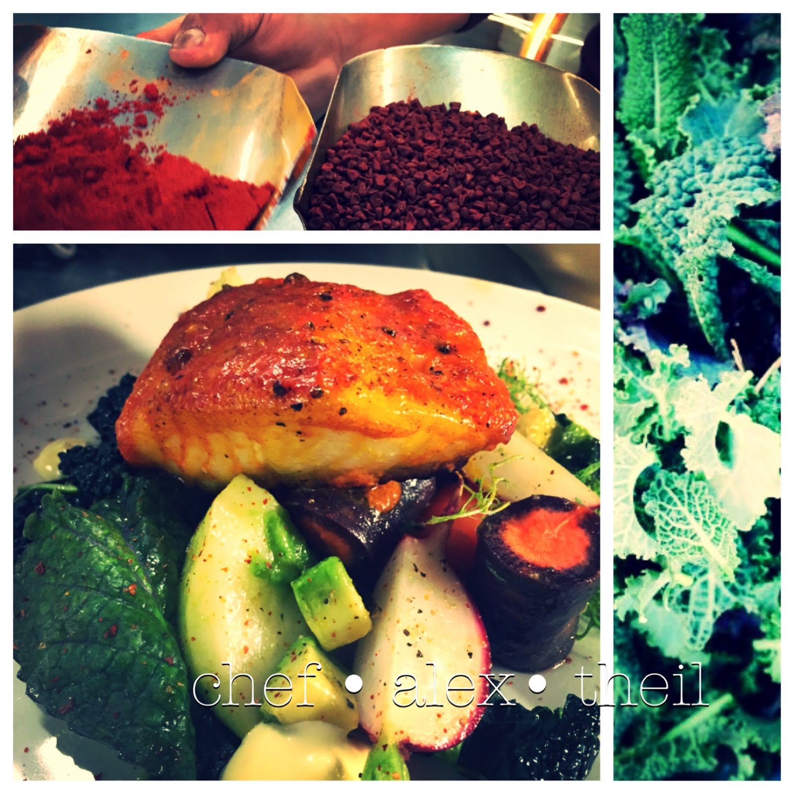 ALEX THEIL latin inspired food • explosive flavors