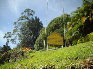 Hakgala Botanic Garden of Nuwara Eliya.