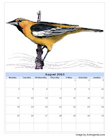 Calendar bird by Artmagenta