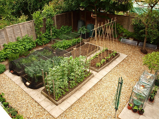 ... thoughts from a stay at home Mom: Brainstorming vegetable garden ideas