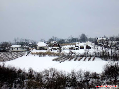 selo Rogača