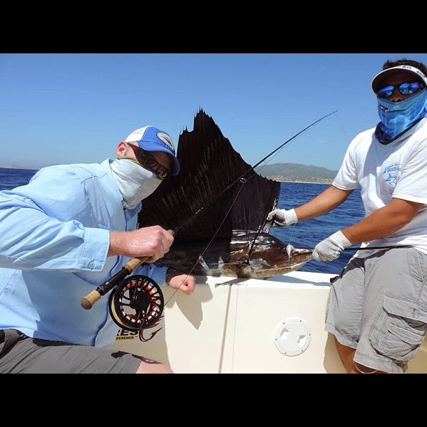 Tight Lined Tales of a Fly Fisherman Fly Product...The Allen Fly