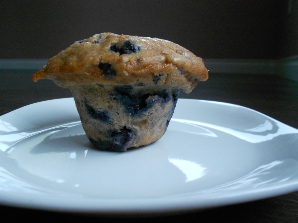 Snacking Squirrel Banana Blueberry Chocolate Chip Muffin