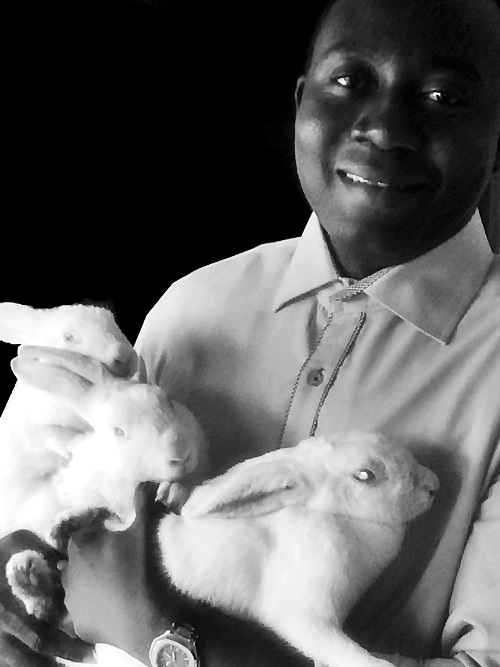 My Basic Guide To Backyard Rabbit Farming