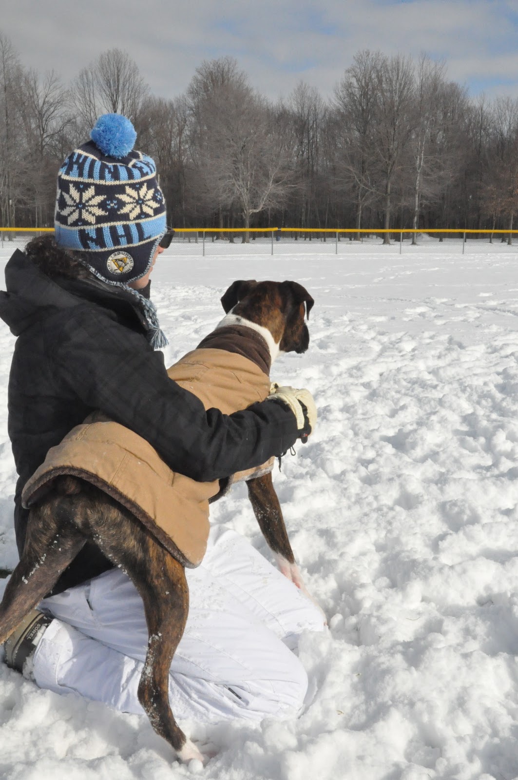 I Have A Boxer Snow Boxers