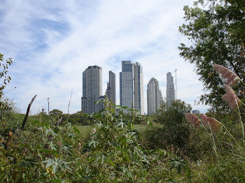 NATURALEZA Y CIUDAD