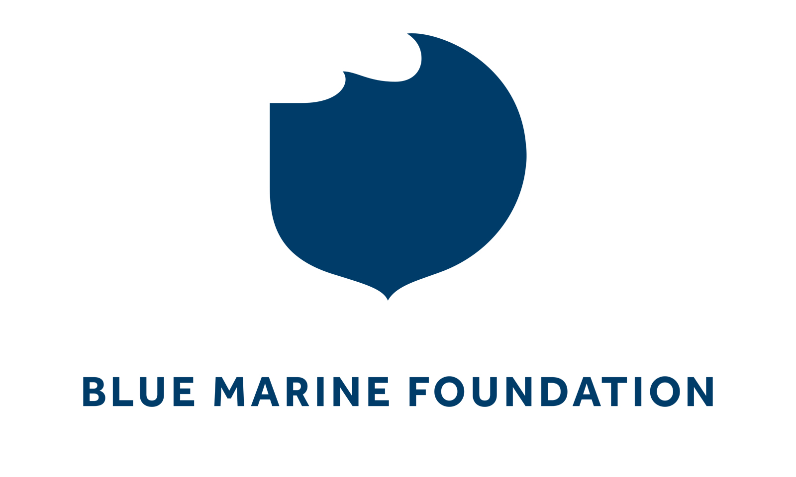 Blue Marine Foundation