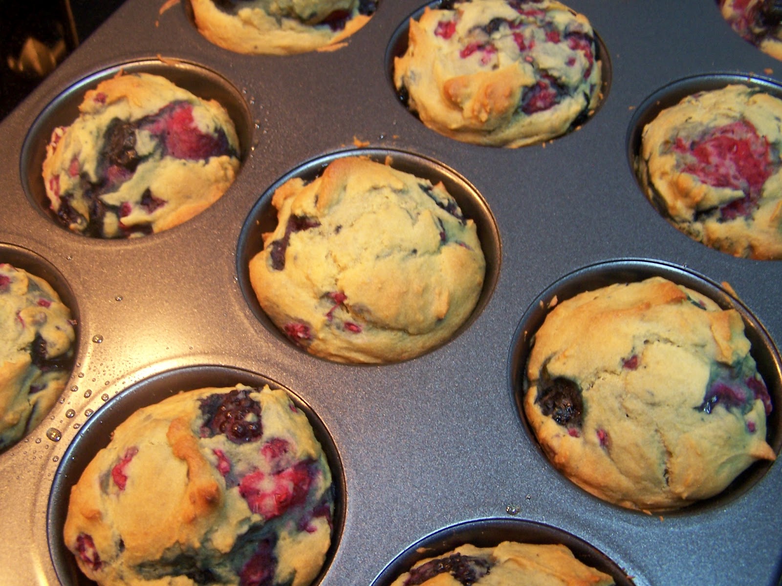 Skinny Gluten Free Low Glycemic Berry Muffins Skinny GF Chef healthy