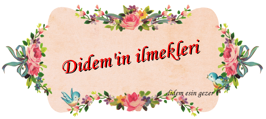 Didemin ilmekleri 