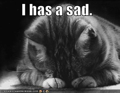 funny-pictures-sad-cat-blackandwhit.jpg