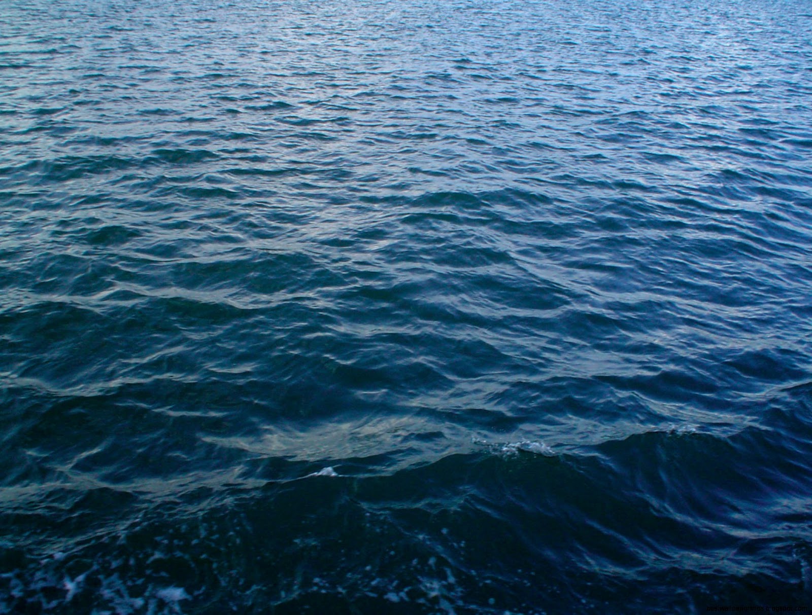 Sea Ocean Water Texture Sea Ocean Water Texture