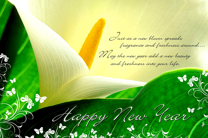 Happy new year wishes: new year greetings photos for happy new year 2015 Happy New Year Wishes: New Year Greetings Photos for Happy New Year 2015