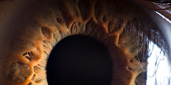 Lihat! Seindah Inikah Bentuk Mata Anda? (FULL PIC)