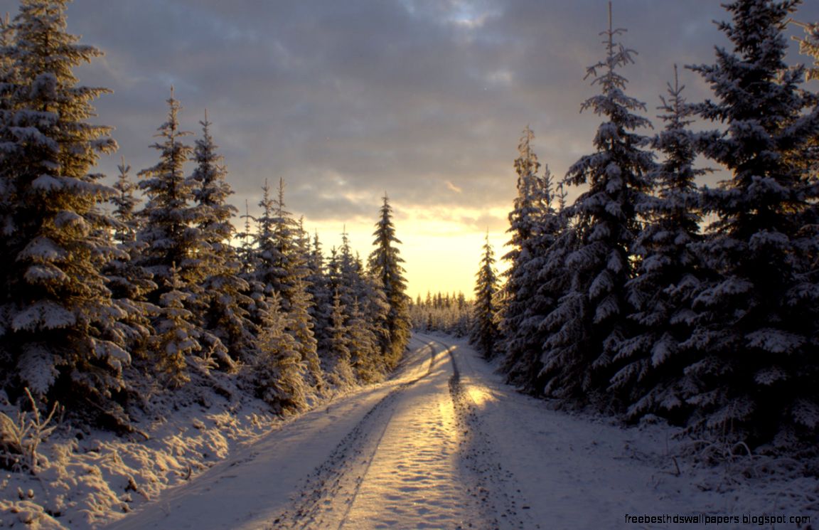 Winter road by lexious on DeviantArt Winter road by lexious on DeviantArt