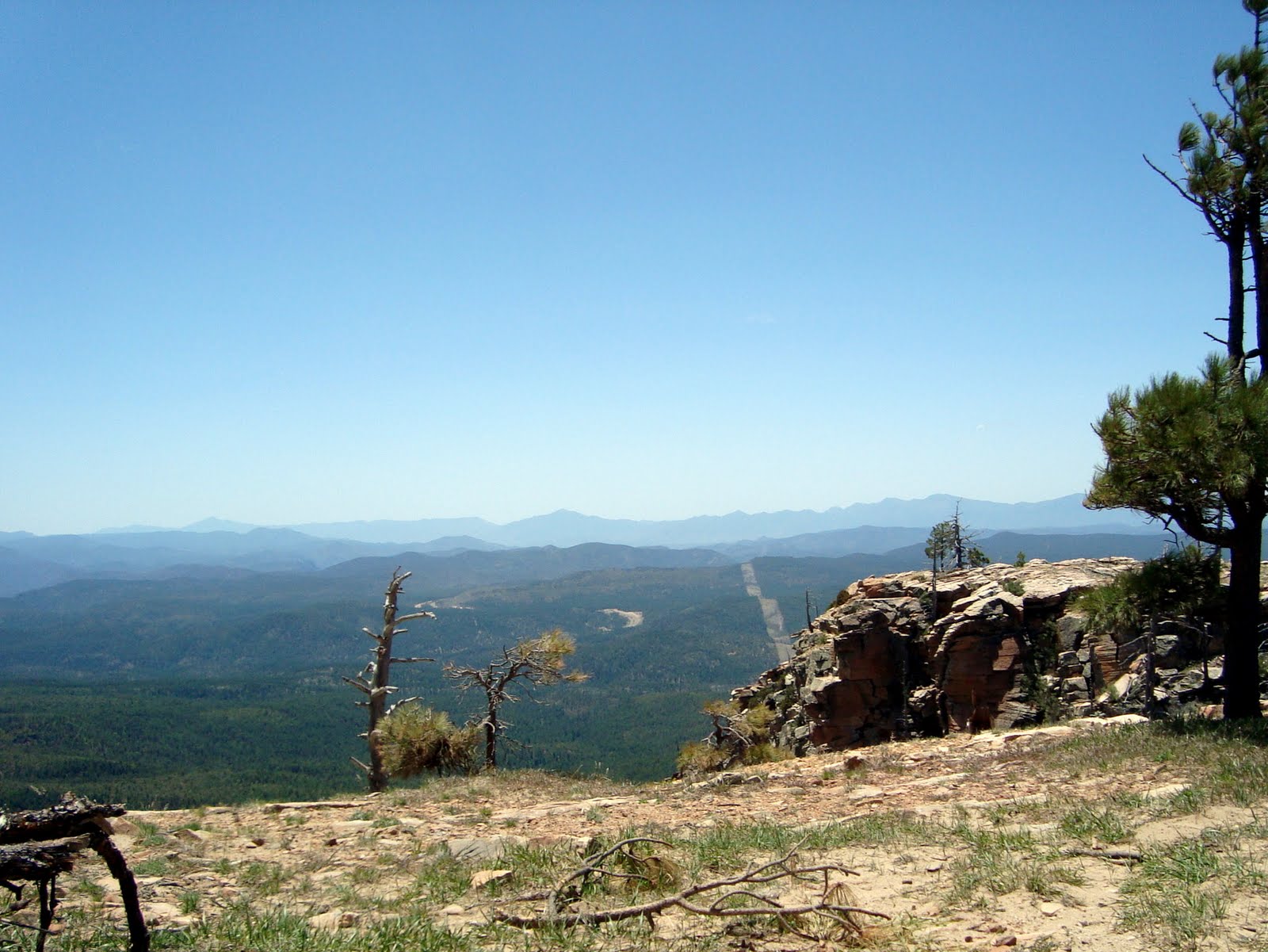 Highway Runner A DRIVE ON THE MOGOLLON RIM, FOREST ROAD 300