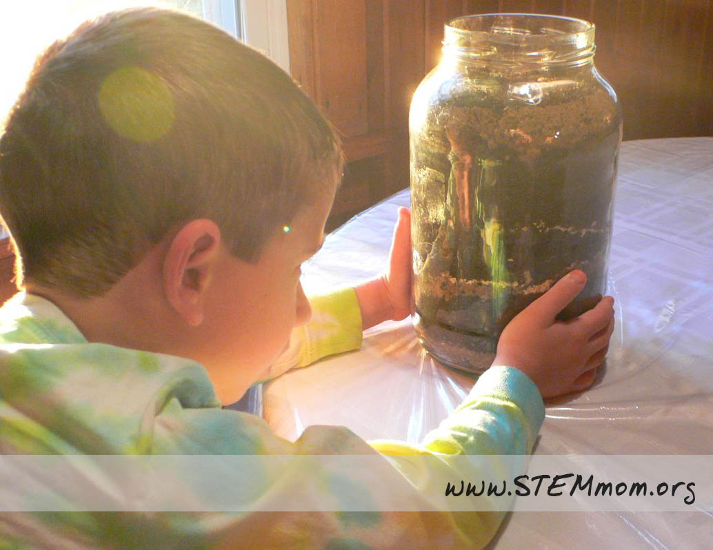 Dr. STEM Mom Wormy Experiment Light & Dark