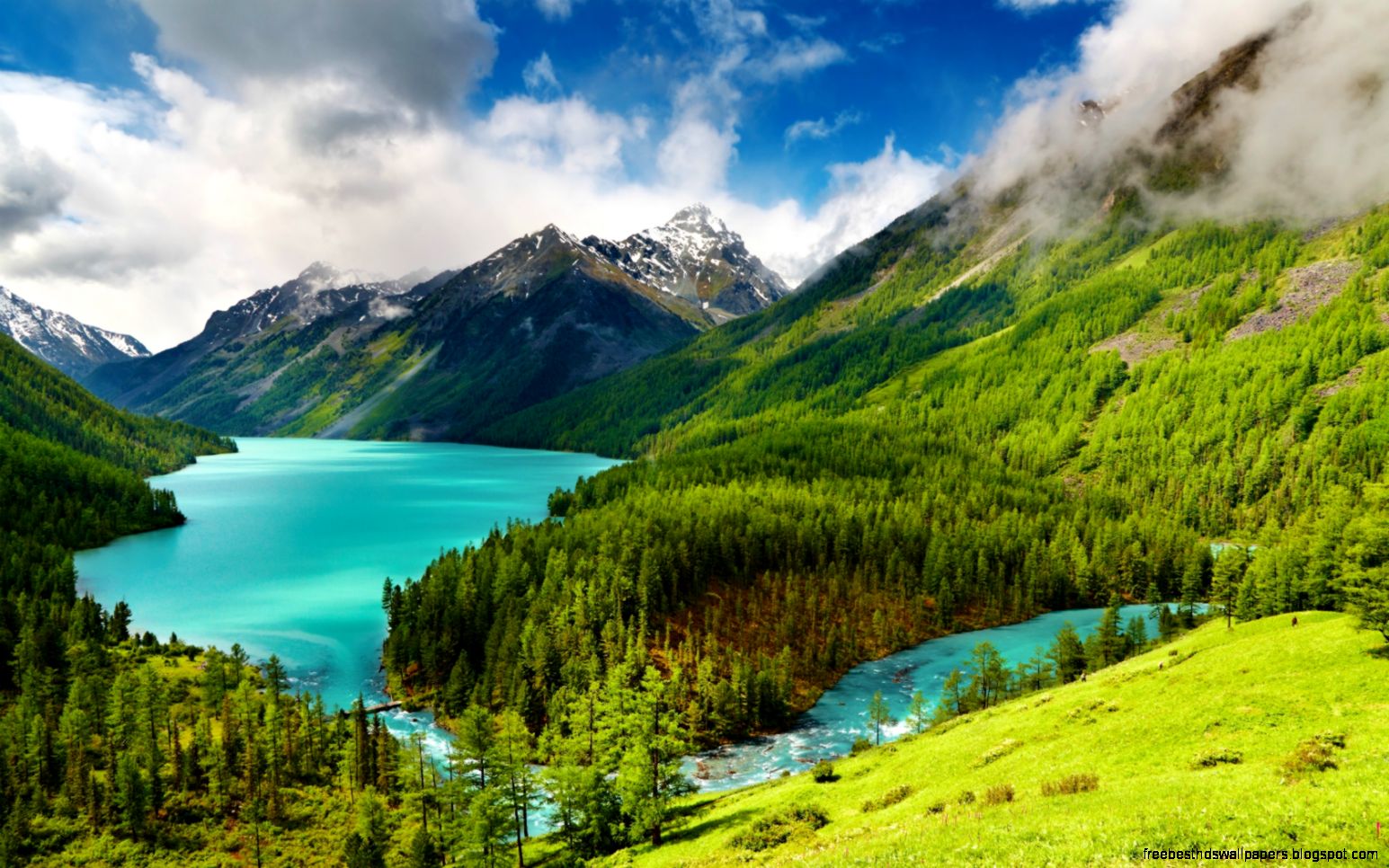 High Resolution Photos Of Nature Hd Background Wallpaper 50 High Resolution Photos Of Nature Hd Background Wallpaper 50