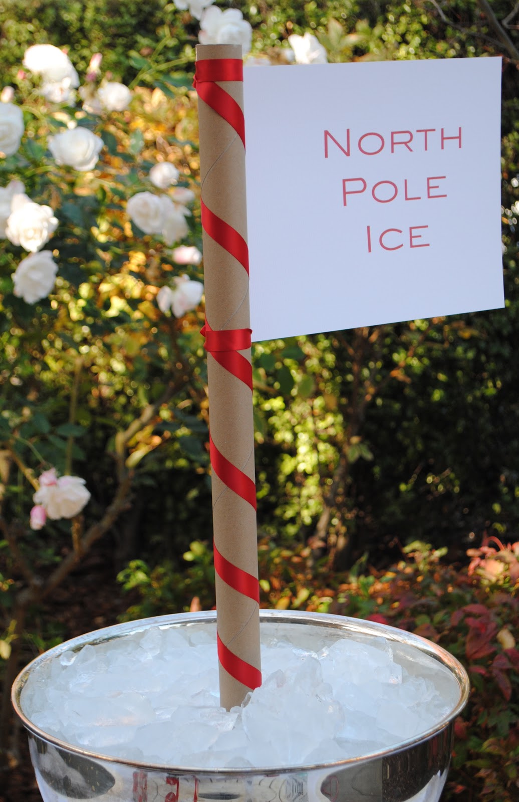 Jac o' lyn Murphy: Kids' Christmas Drinks...