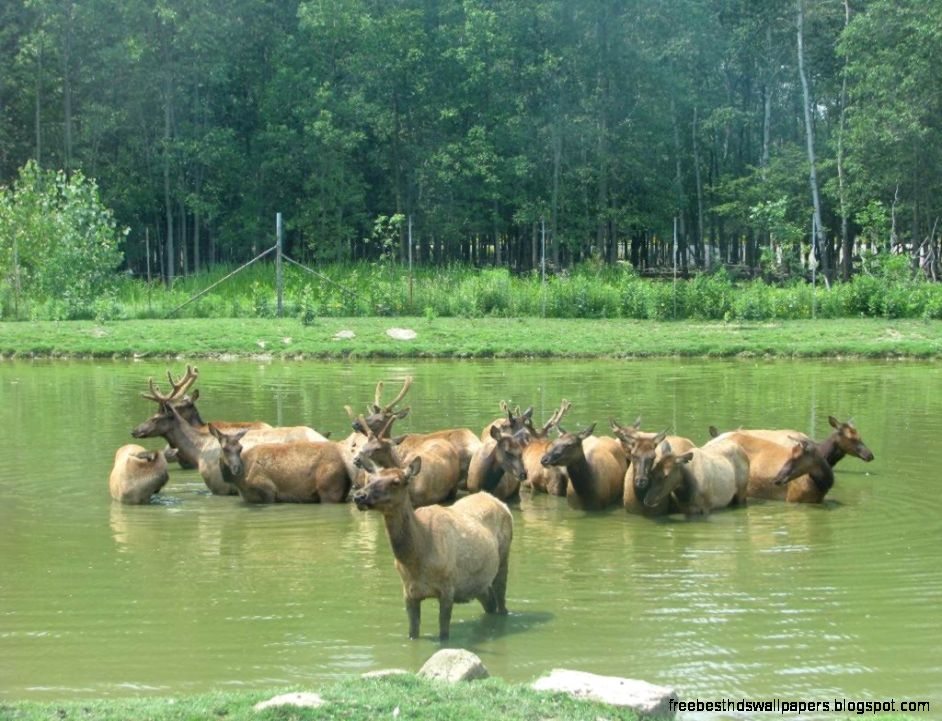 Waterloo Canada Attractions Waterloo Canada Attractions