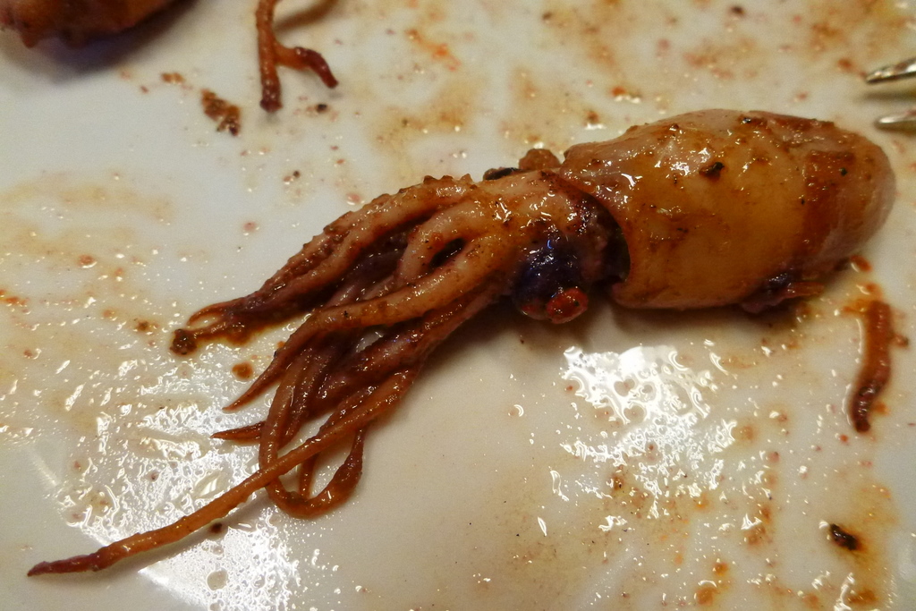 Milldaz Goes Nørther May 2011