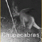 El Chupacabras