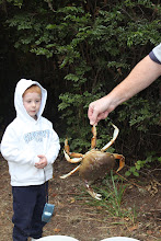 Nolan's not too sure about crab