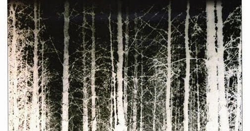 download the blair witch project 1999 for free download the blair witch project 1999 for free