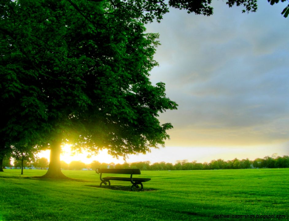 25 Magnificent Collection Of Green Wallpapers GraphicsLava 25 Magnificent Collection Of Green Wallpapers GraphicsLava