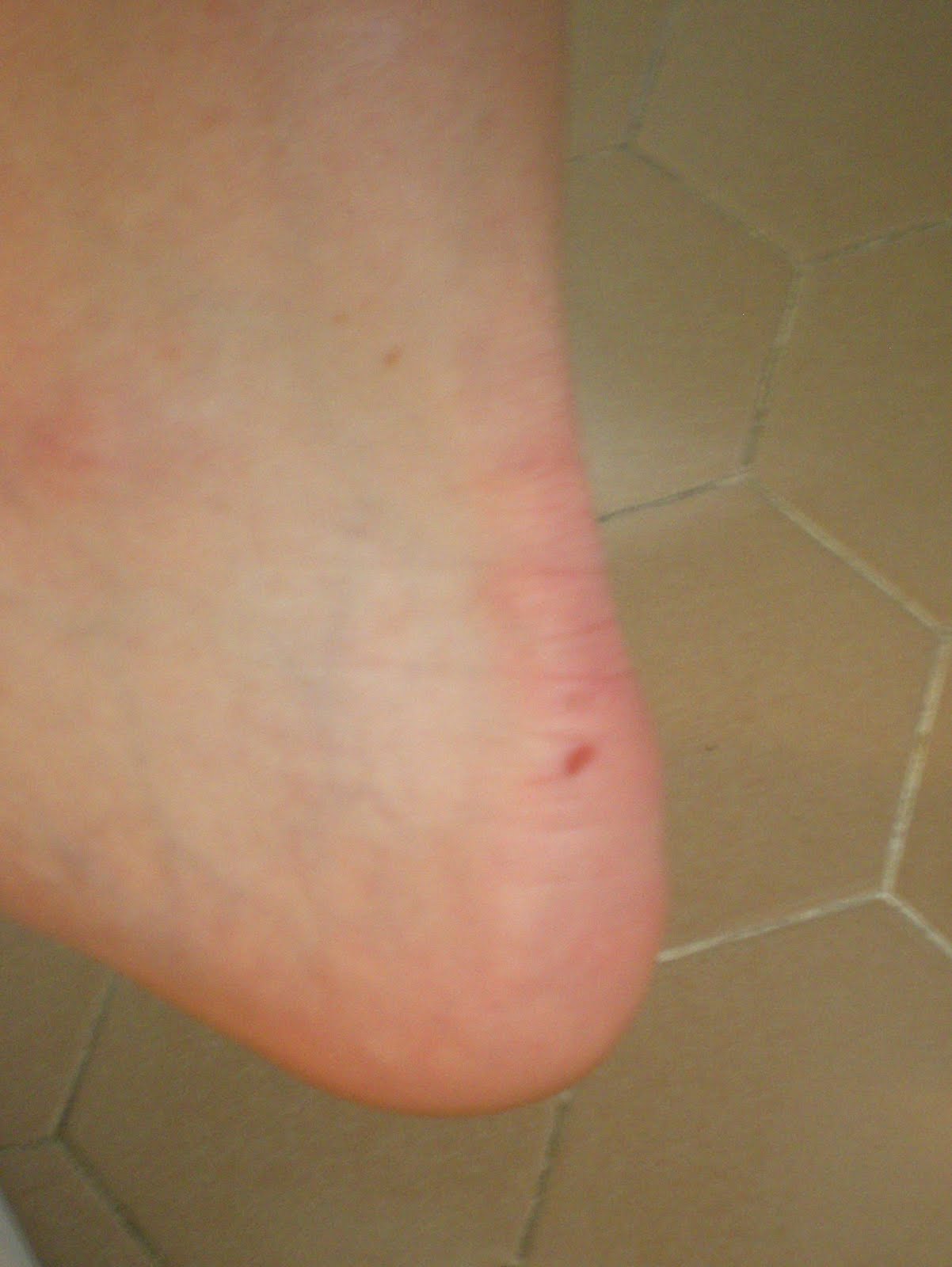 Pretend this is real Holier Than Thou