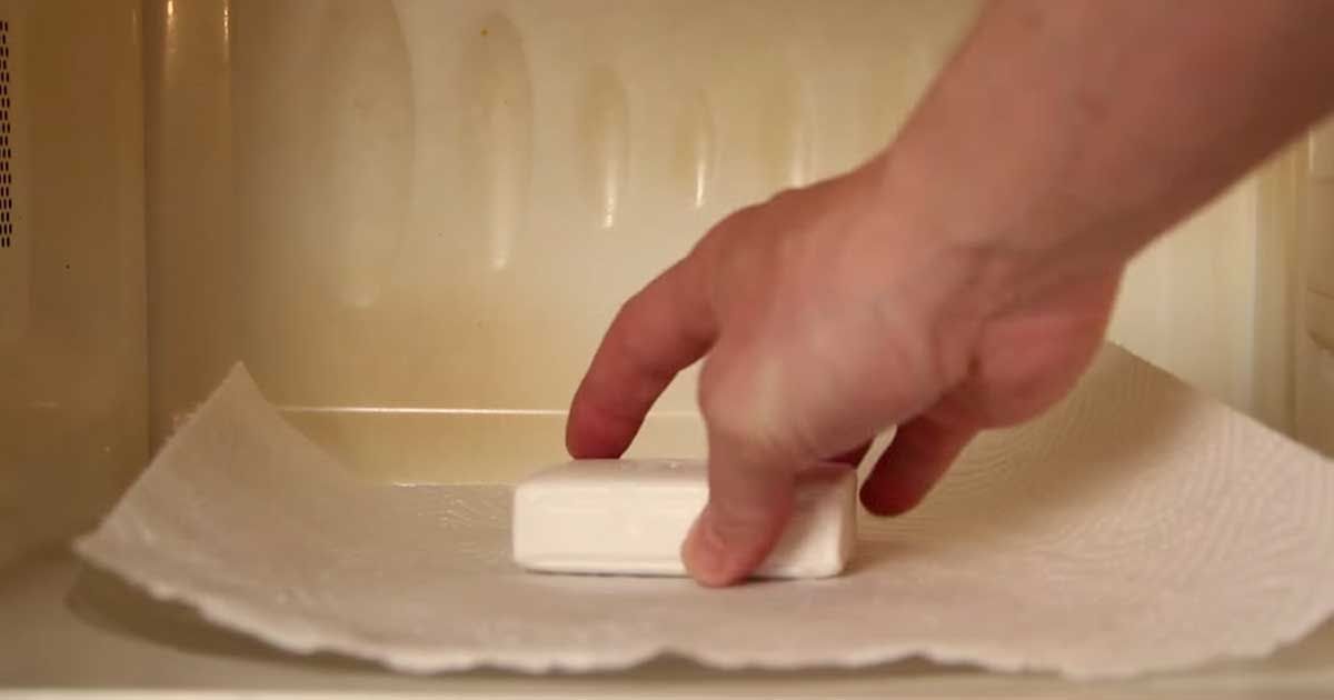 Cool science projects at home Cool science projects at home