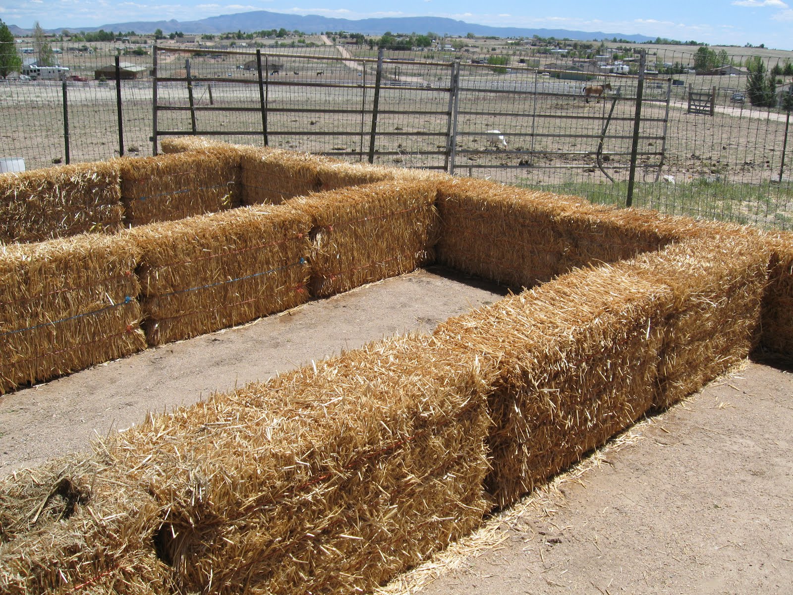 Straw Bale Gardening – Photo blog | HS Blog