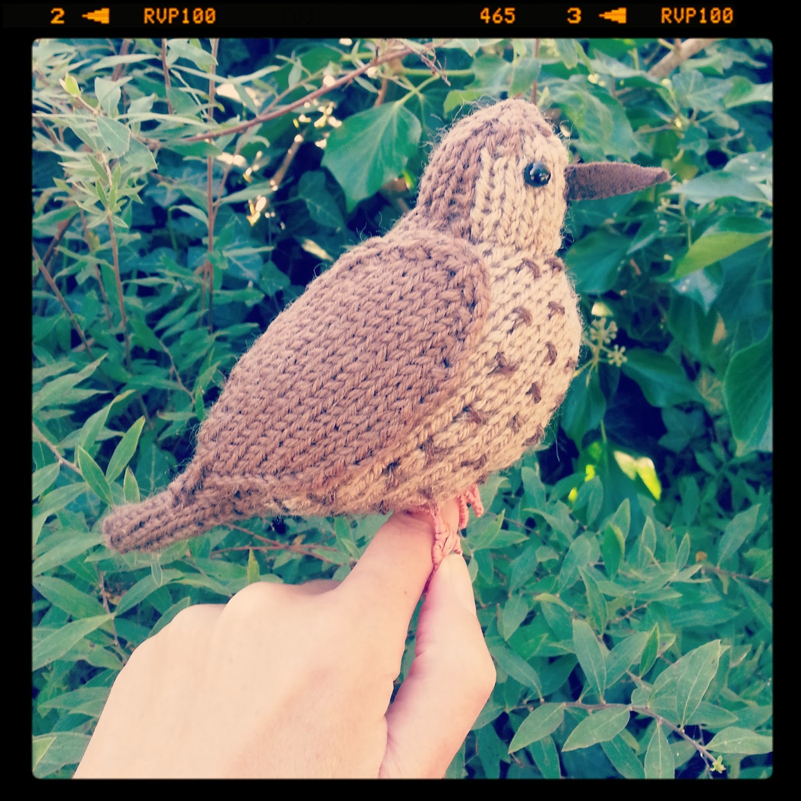 Knit for Victory: Song thrush