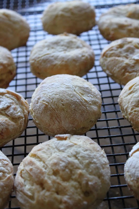 The Pioneer Cookbook Soda Biscuits