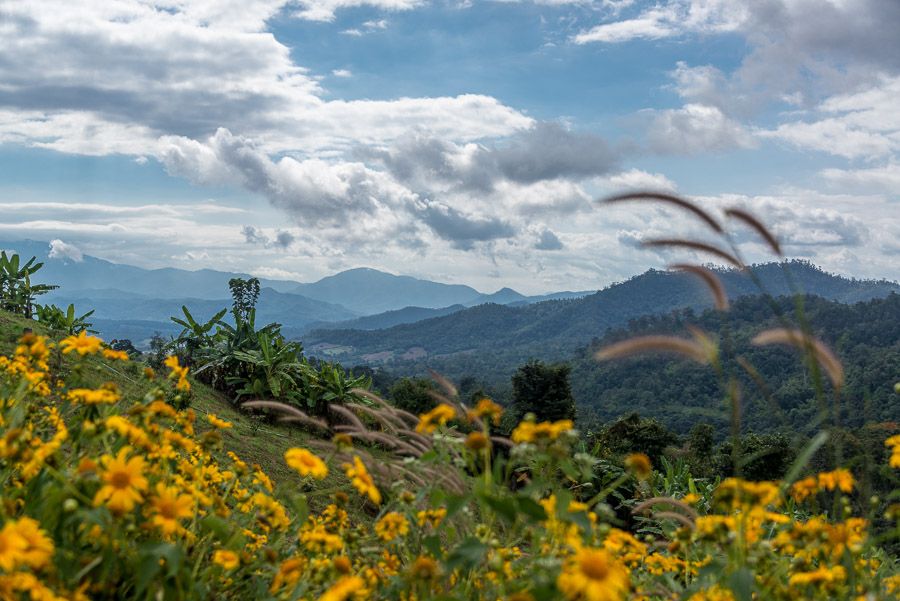 A trip to the neighborhood of the Pai