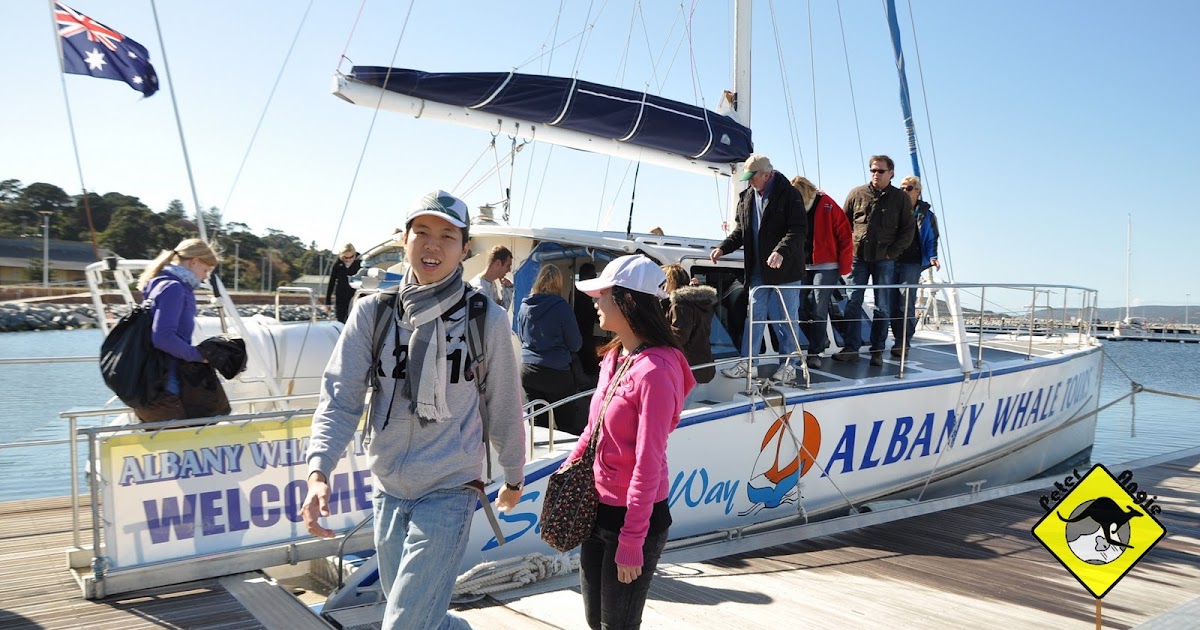 P&A GoGoGo: Albany Whale Watching Tour and Whale World