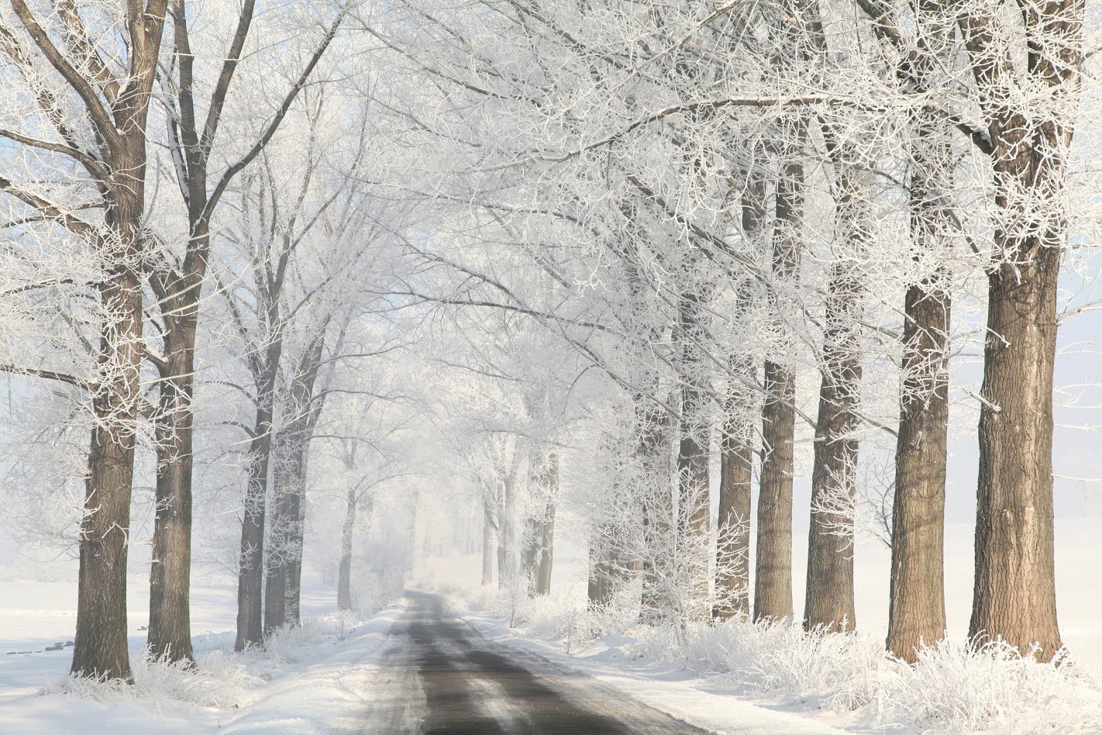 Hermoso paisaje de invierno Amazing winter landscape (imagenes