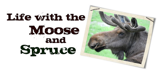 Life with the Moose and Spruce