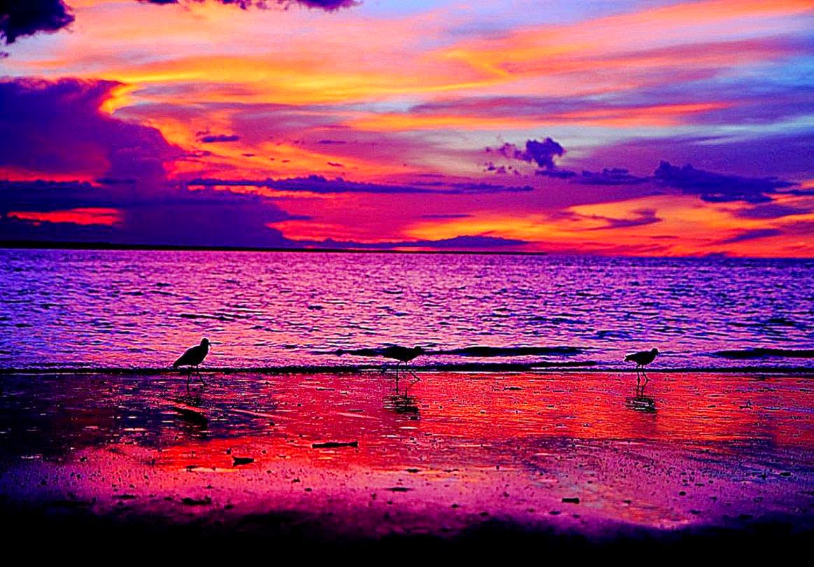 Beautiful Beach Sunsets Tumblr Hd Pictures 4 HD Wallpapers amagico Beautiful Beach Sunsets Tumblr Hd Pictures 4 HD Wallpapers amagico