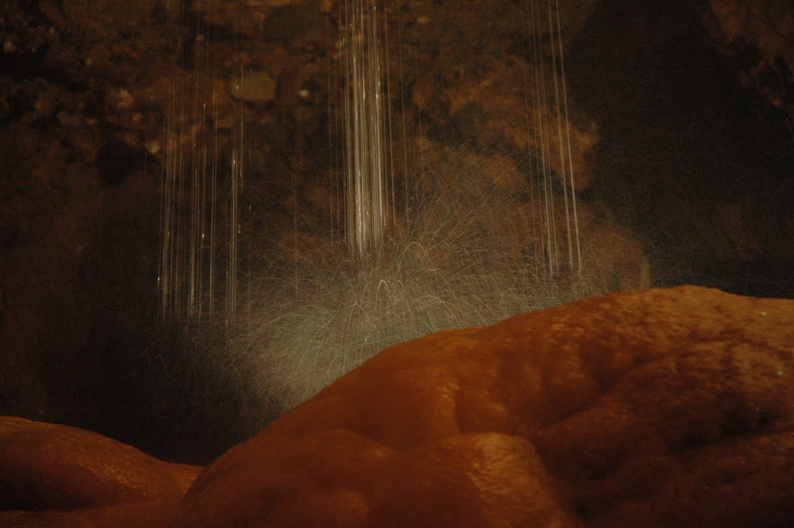 Potager En Pots Les Fruitiers