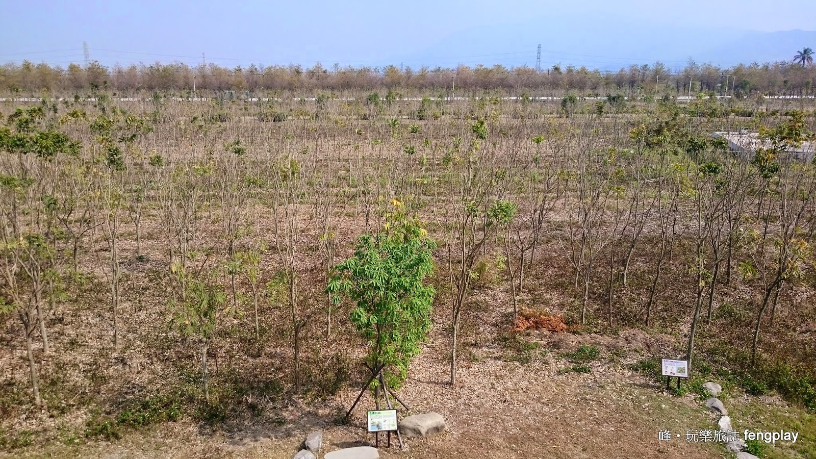 屏東休假好去處-林後四林平地森林園區