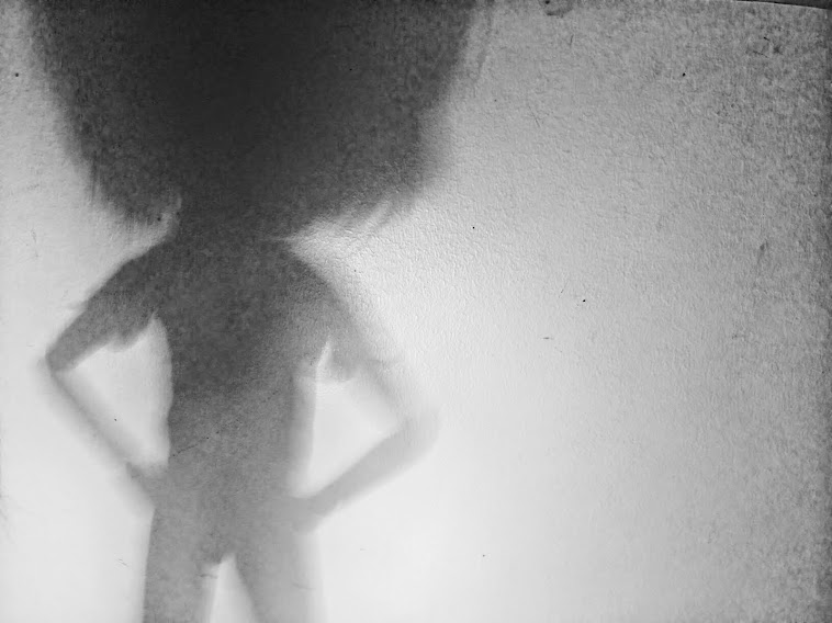 Doll's shadow