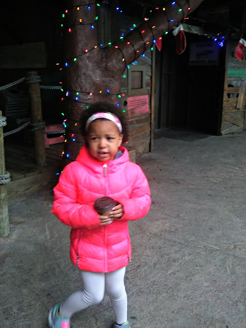 Wild about the Columbus Zoo and Aquarium #Wildlights