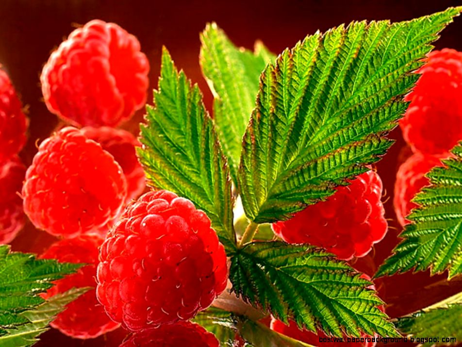 Raspberries wallpaper 4 Raspberries wallpaper 4