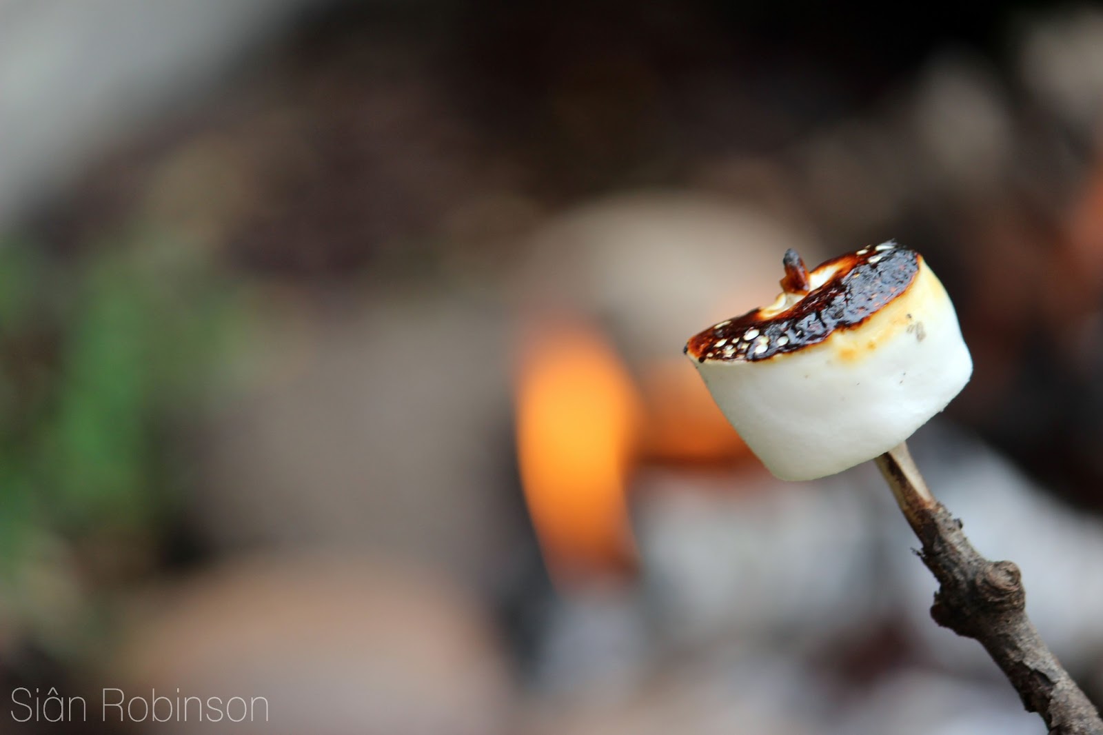 The Wild Things Little things