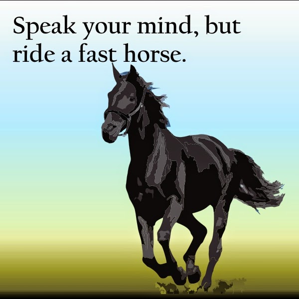 Cowboy Kisses Horse Sense By Alison Bruce