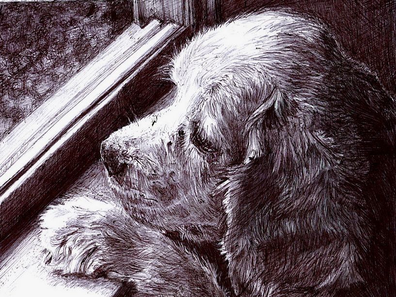   + + - +%  2527Art% 2540 + - +% 25283% 2529