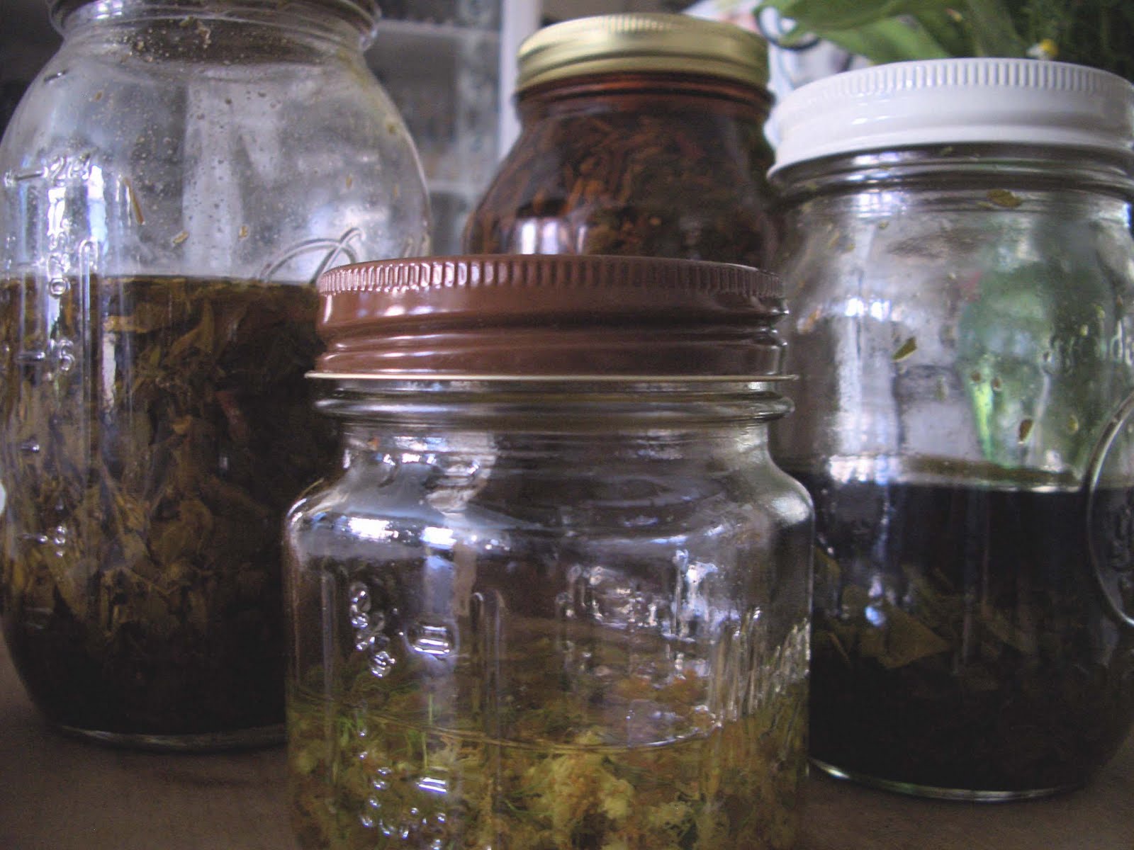 alchemologie Tinctures, Extracts and Infusions