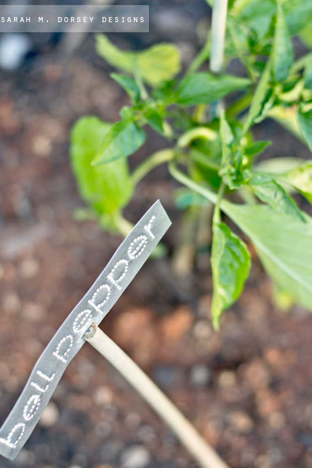 sarah m. dorsey designs DIY Aluminum Plant Markers