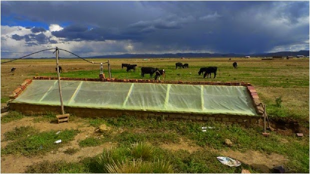 Biodigestores En Peru Pdf