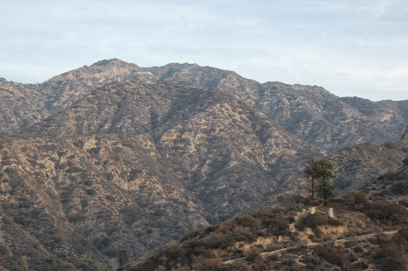 Resolutions on the 7 Trees Trail East West Hike